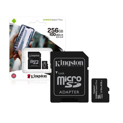 Immagine di Kingston memory micro SD + adattatore | 256 GB