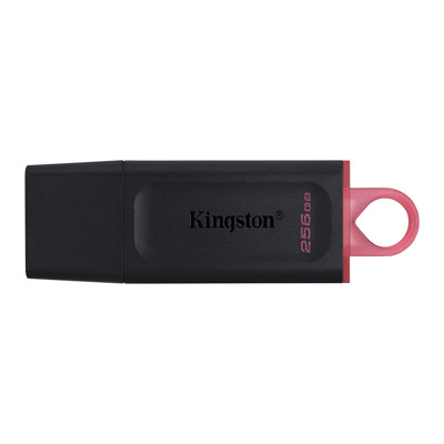 Immagine di Kingston pen drive 3.2 | 256GB