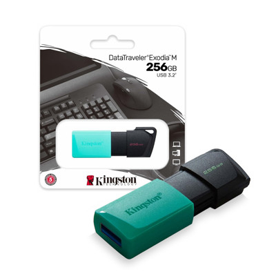 Immagine di Kingston pen drive 3.2 | 256 GB